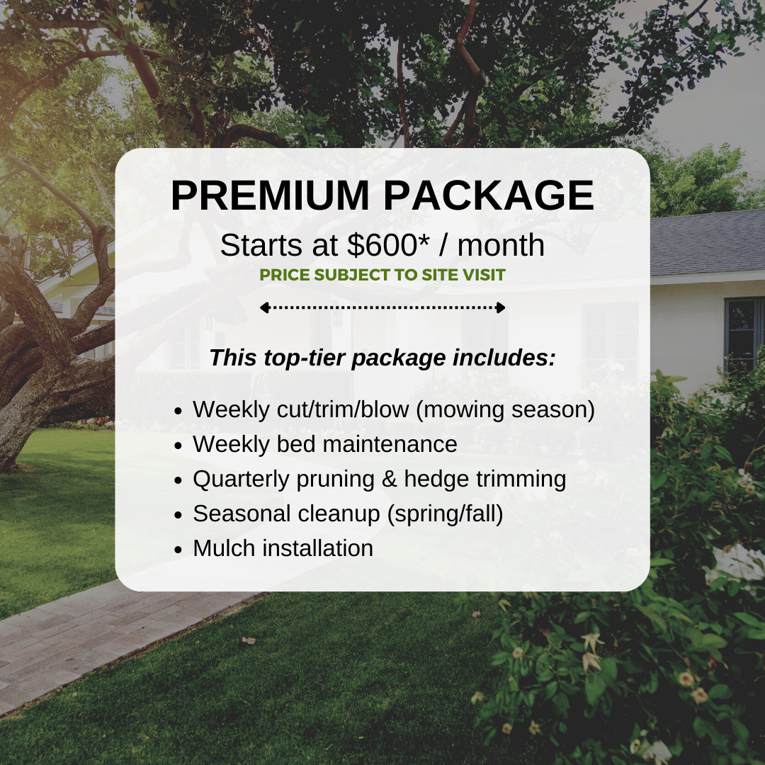 Premium Package Quote