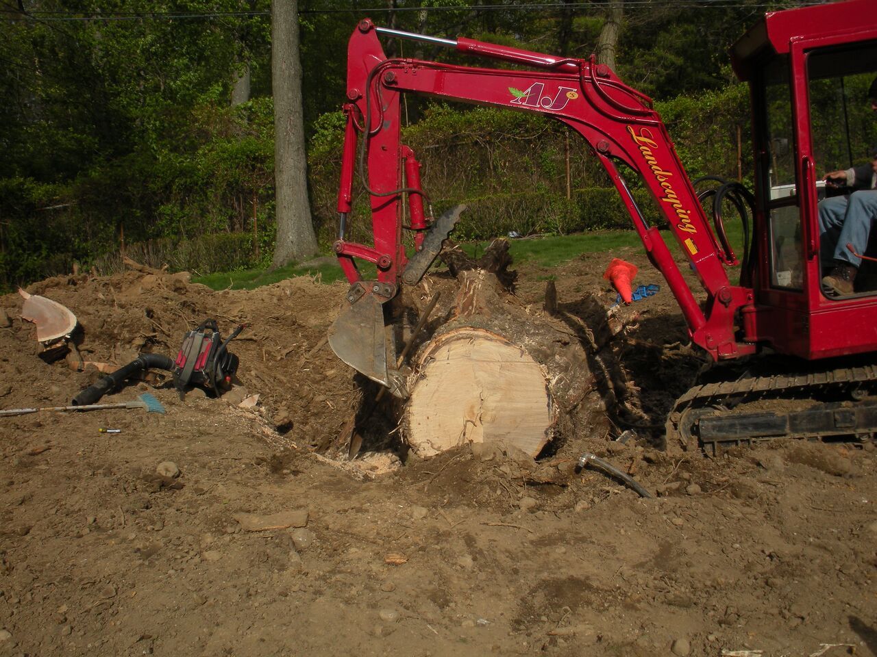 Land and Storm Cleanup