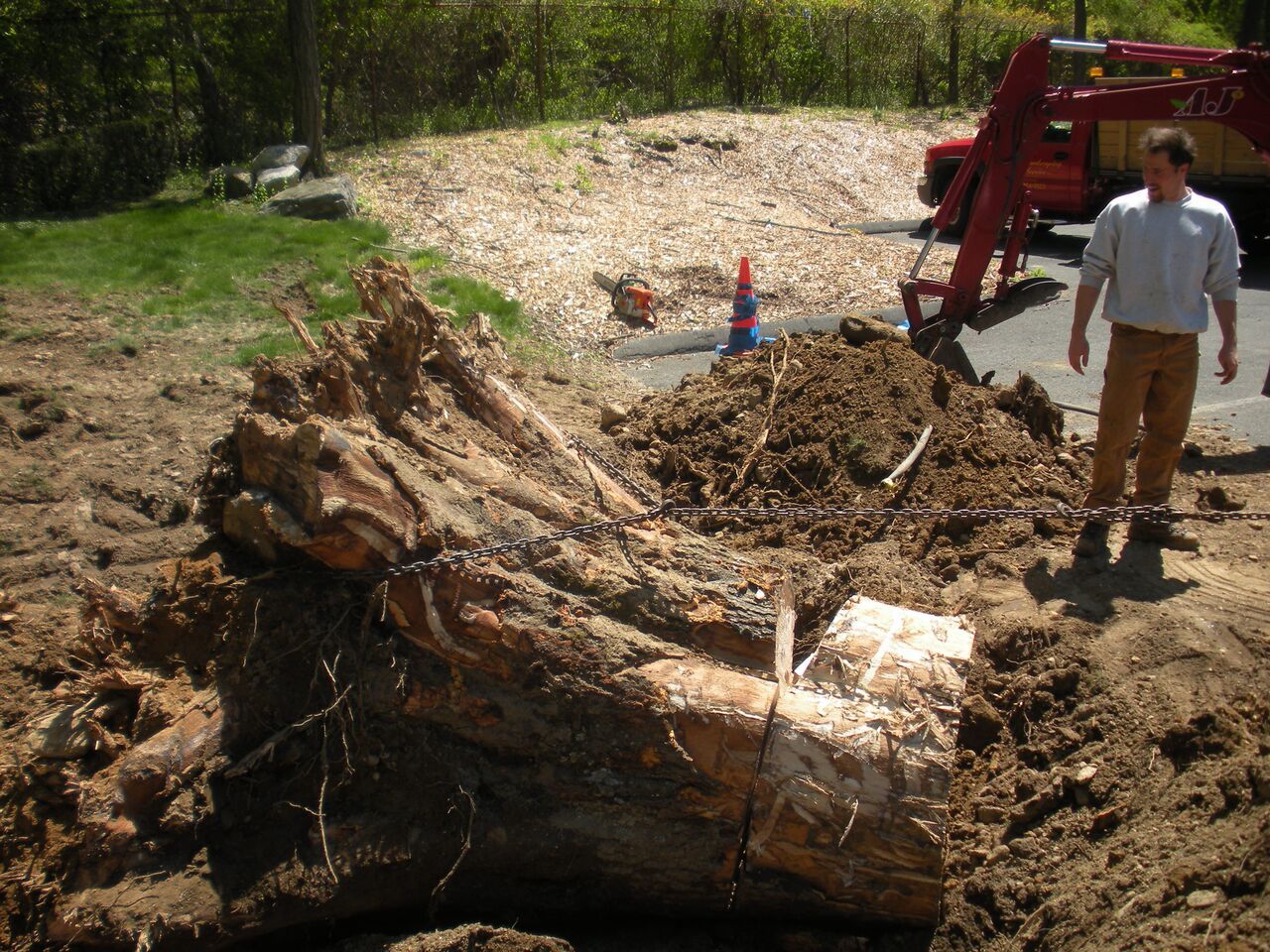 Land and Storm Cleanup
