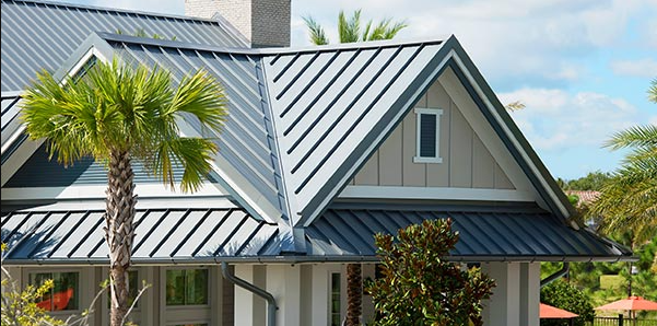 A house with a metal roof and a palm tree in front of it