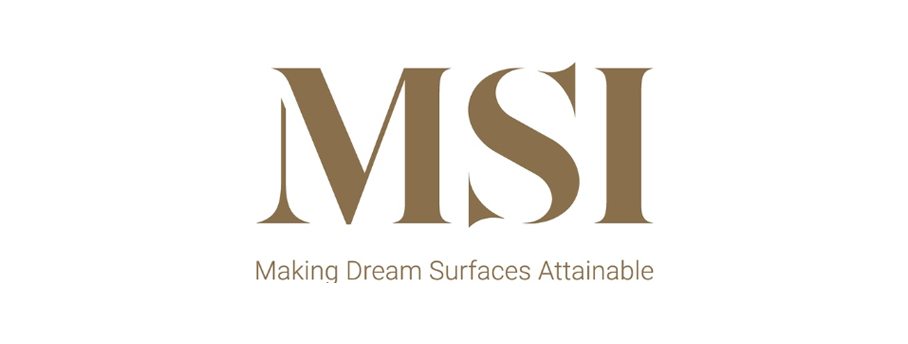 MSI logo