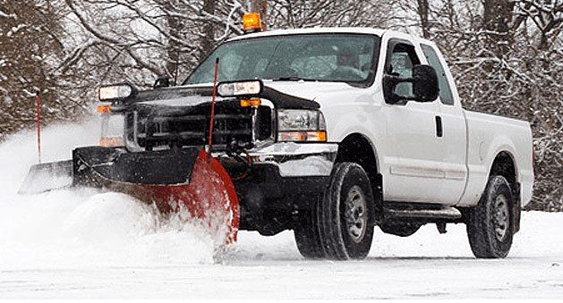 Snow and Pest Removal