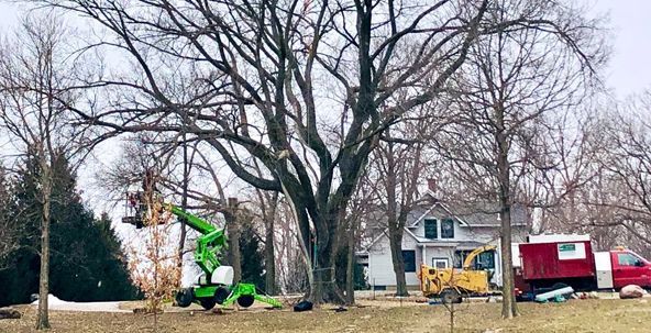 Acorn ArborCare, LLC