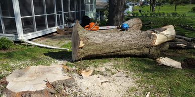 A freshly cut tree trunk lies on the grass next to a house, with a chainsaw resting on top of the wood.