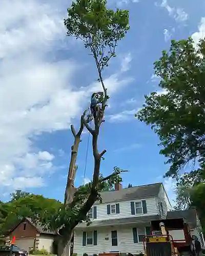 Photo of Cybin Nelson