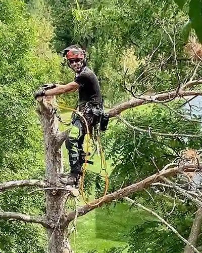 Photo of Will Hartman
