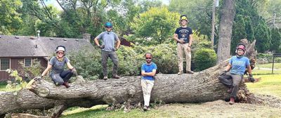 Acorn ArborCare, LLC