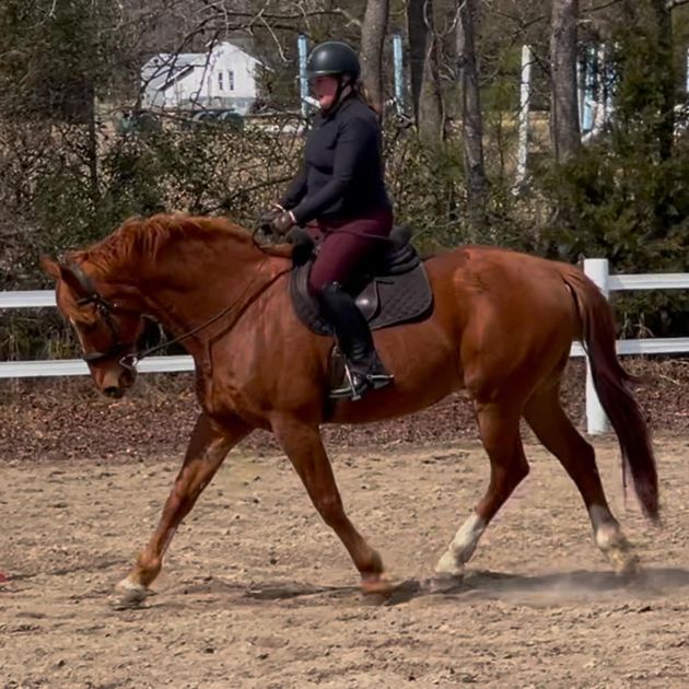 Star Ridge Stables