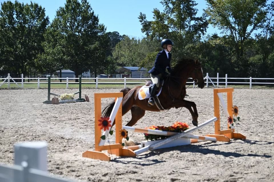 Rider on a dark horse clearing an orange-and-white show jumping obstacle in an outdoor arena