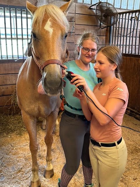 Two women gently grooming a tan horse inside a stable with metal bars.