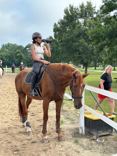 Person on brown horse holding a bottle near a fence, outdoors at an equestrian event