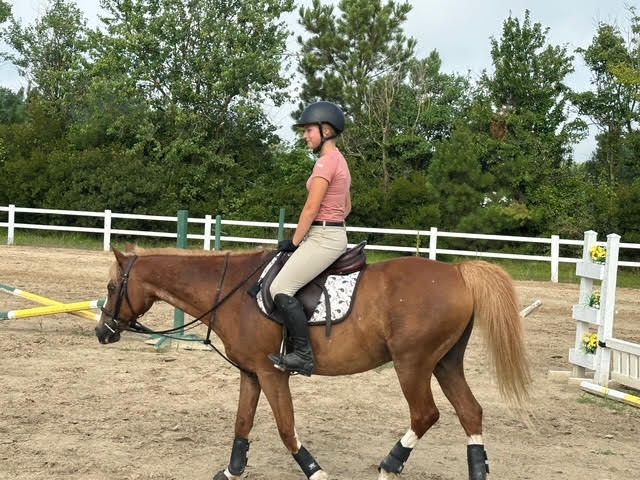 Rider on a brown horse in an outdoor arena, wearing a helmet and pink shirt.
