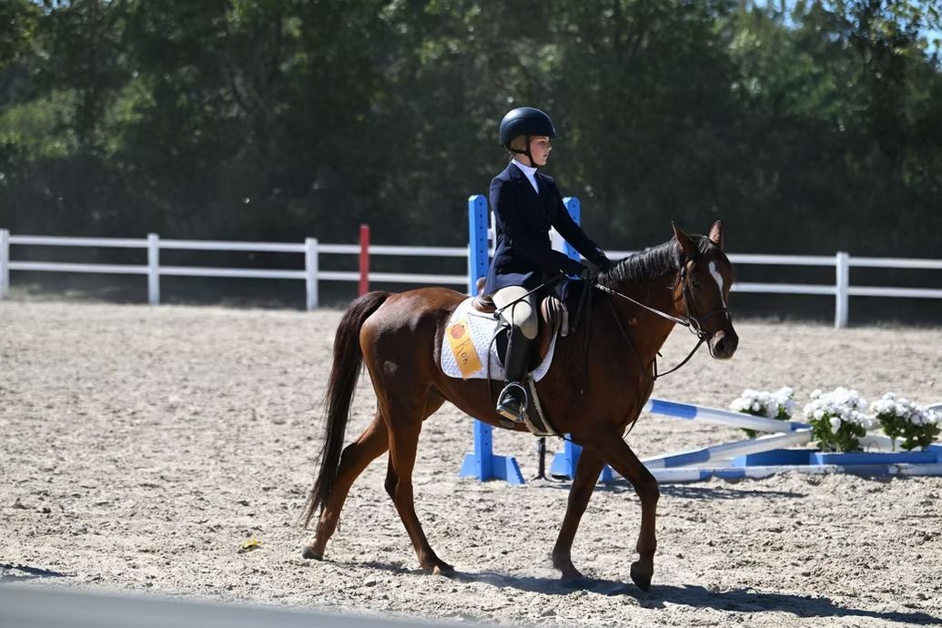 Equestrian rider in blue jacket on a brown horse in an outdoor arena, moving past a white fence.