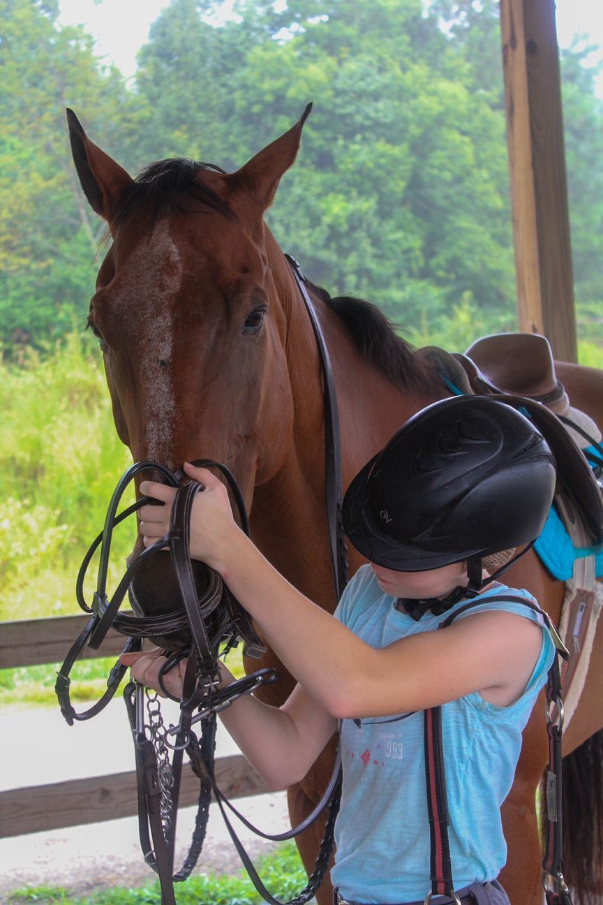 Child in riding helmet preparing a brown horse at a stable with a saddled backdrop