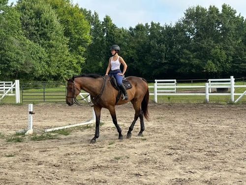 Star Ridge Stables