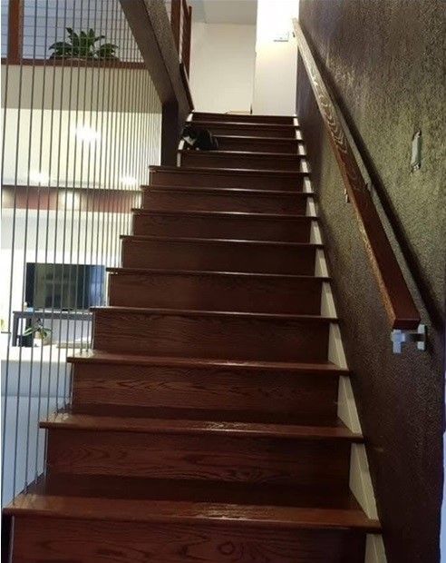Wooden staircase leading upwards, with a dark wood railing and steps. A small, dark animal sits on the stairs.
