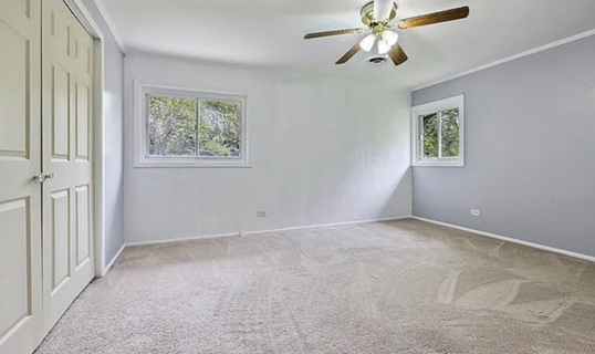 Empty bedroom with gray walls, beige carpet, two windows, and a ceiling fan. White closet doors are on the left.