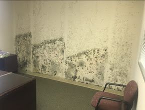 Mold remediation