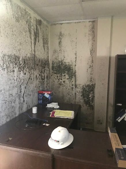 Mold remediation