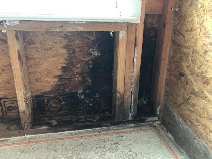 Mold remediation