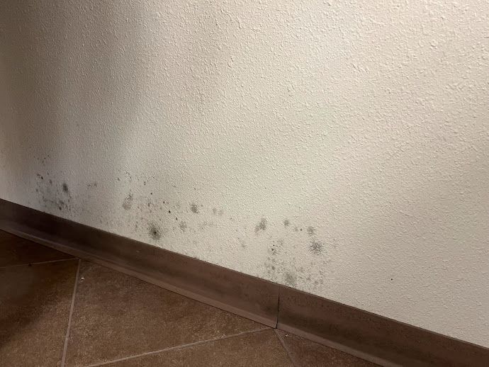 Mold remediation