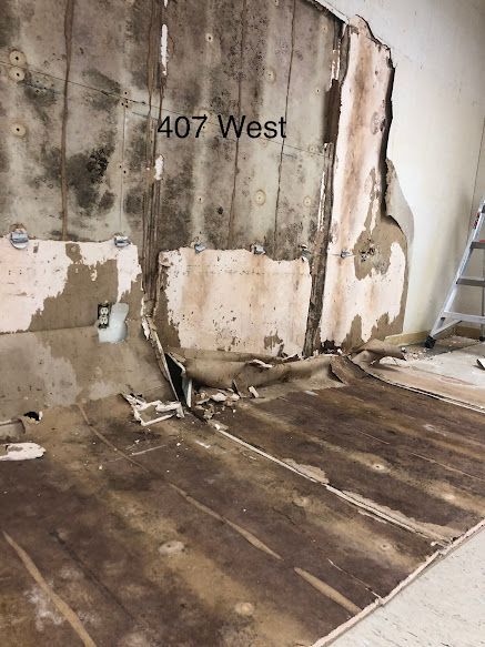 Mold remediation