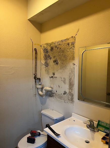 Mold remediation