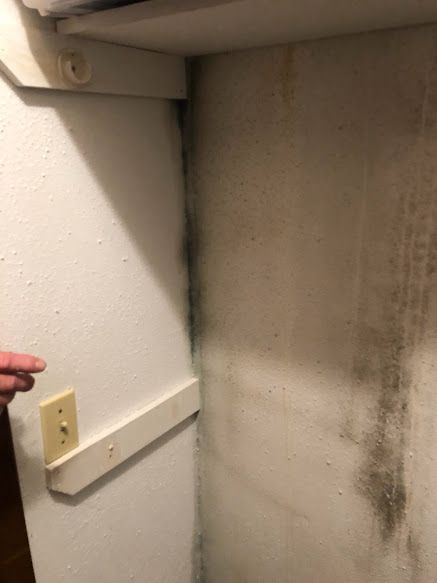 Mold remediation