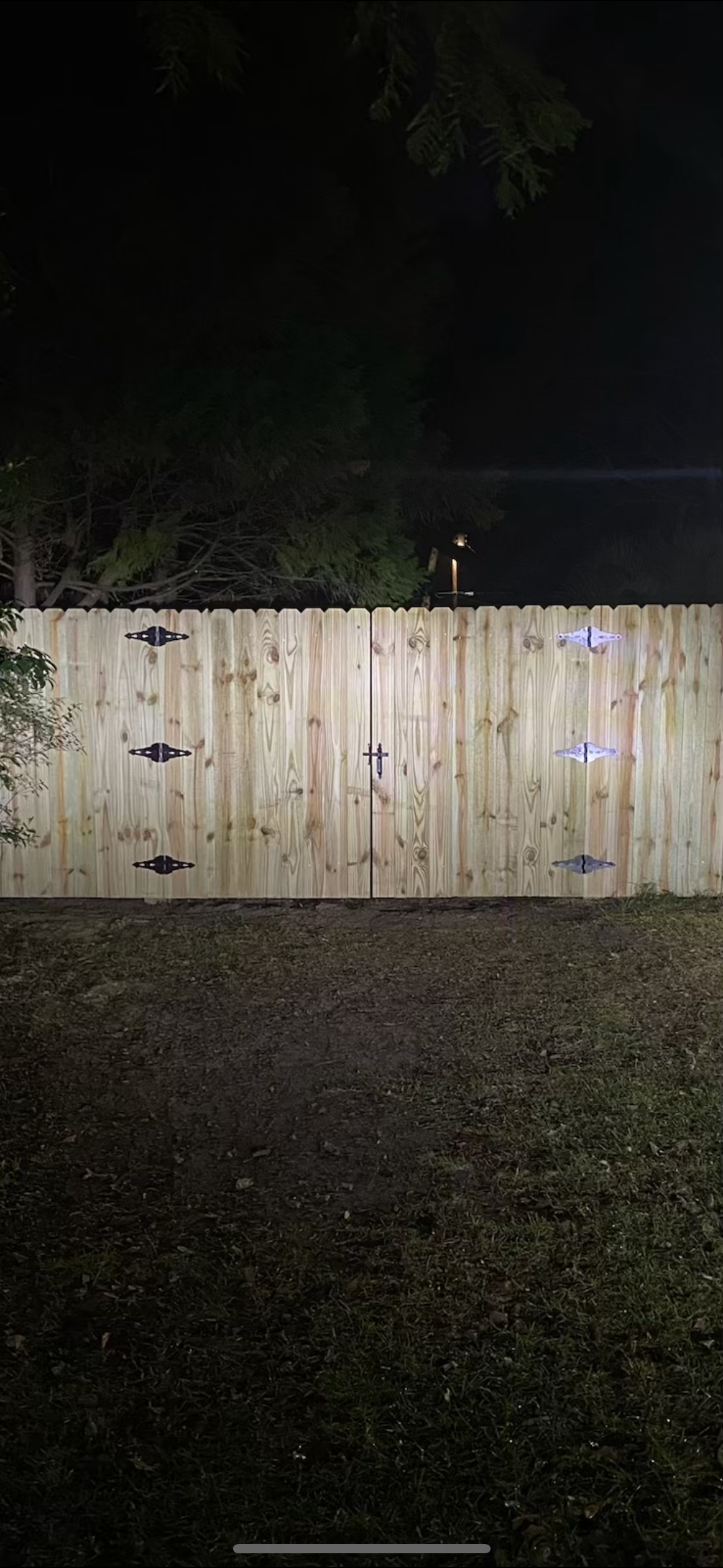 A wooden fence is lit up at night in a backyard.