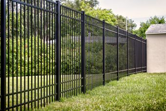 Black metal fence in a grassy yard, bordering lush green foliage