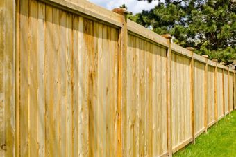 Wooden privacy fence in a yard