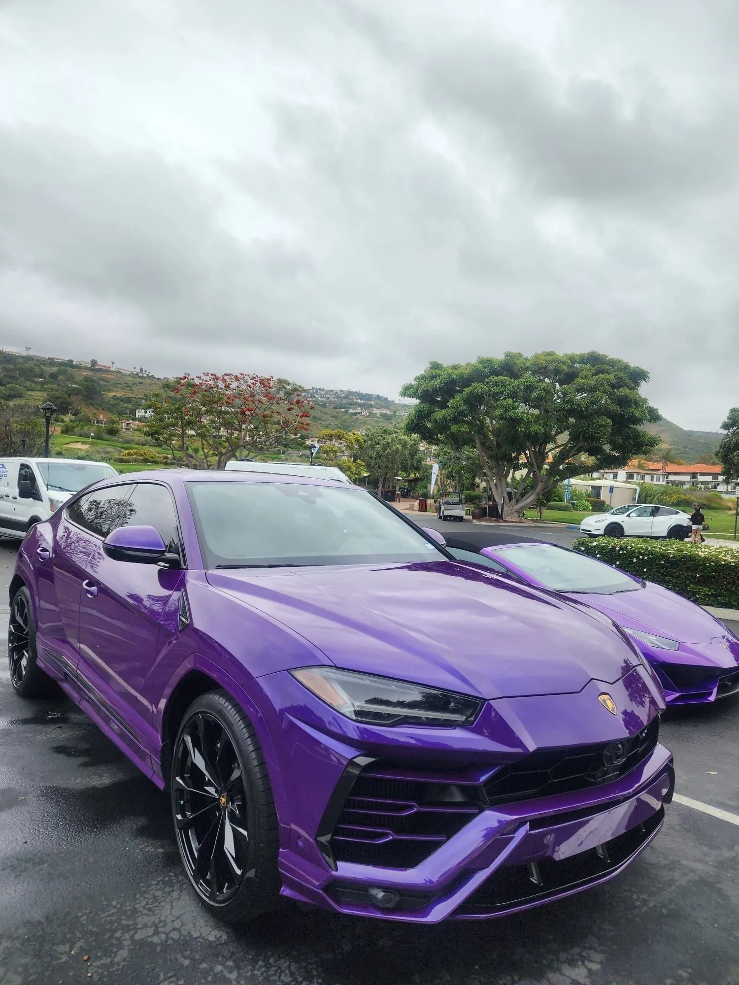 Two vibrant purple Lamborghini vehicles, an SUV and a sports car, parked in an outdoor lot under a cloudy sky.