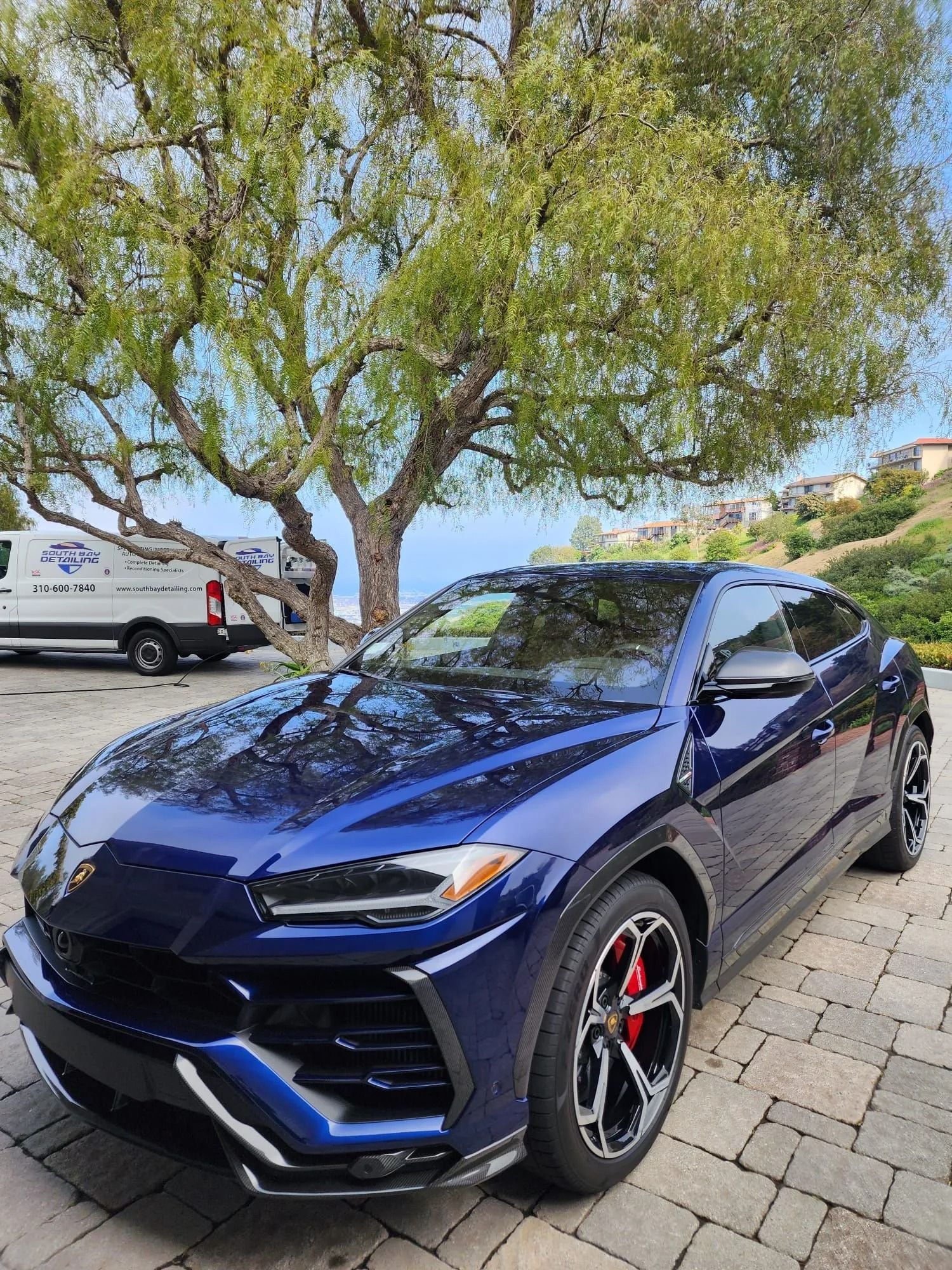 A deep blue Lamborghini Urus parked on a paved driveway beneath a large tree, with a white van in the background.