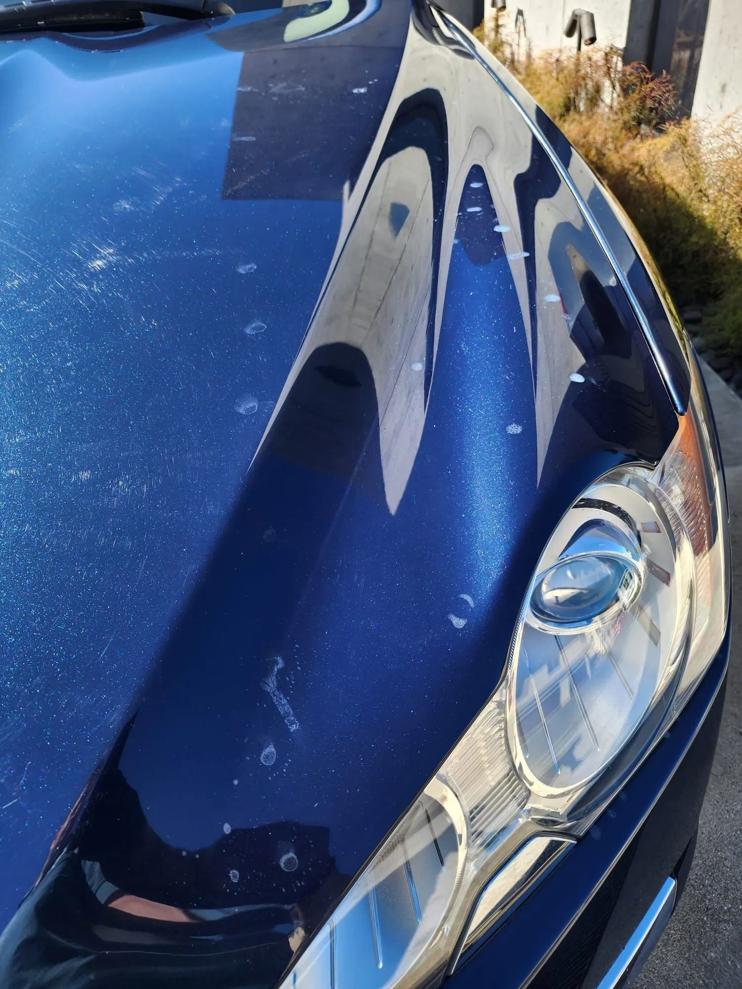 A close-up of a blue car hood showing numerous small, light-colored paint chips and imperfections on its surface.