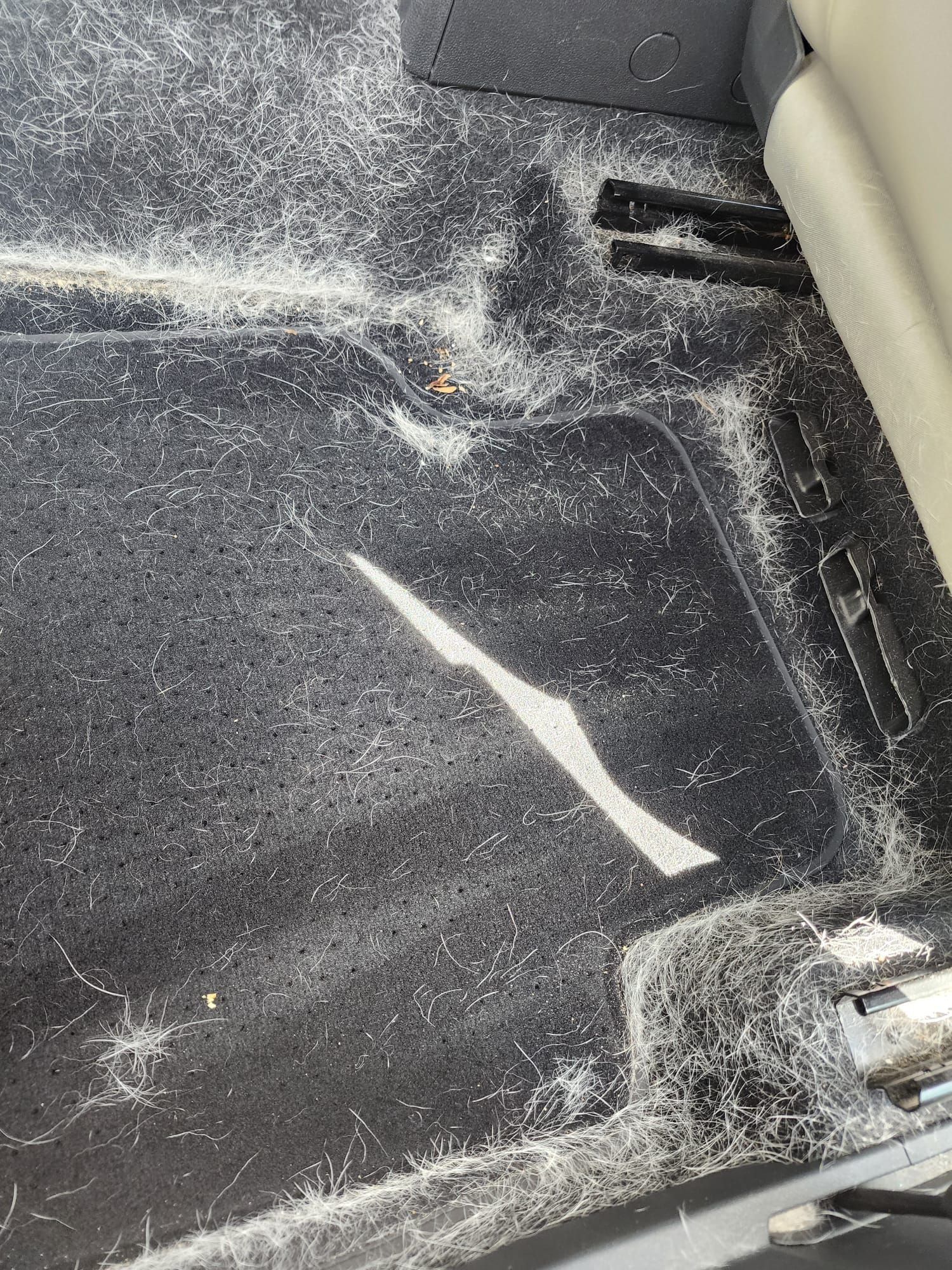 Black car carpet covered in a significant amount of light-colored pet hair.
