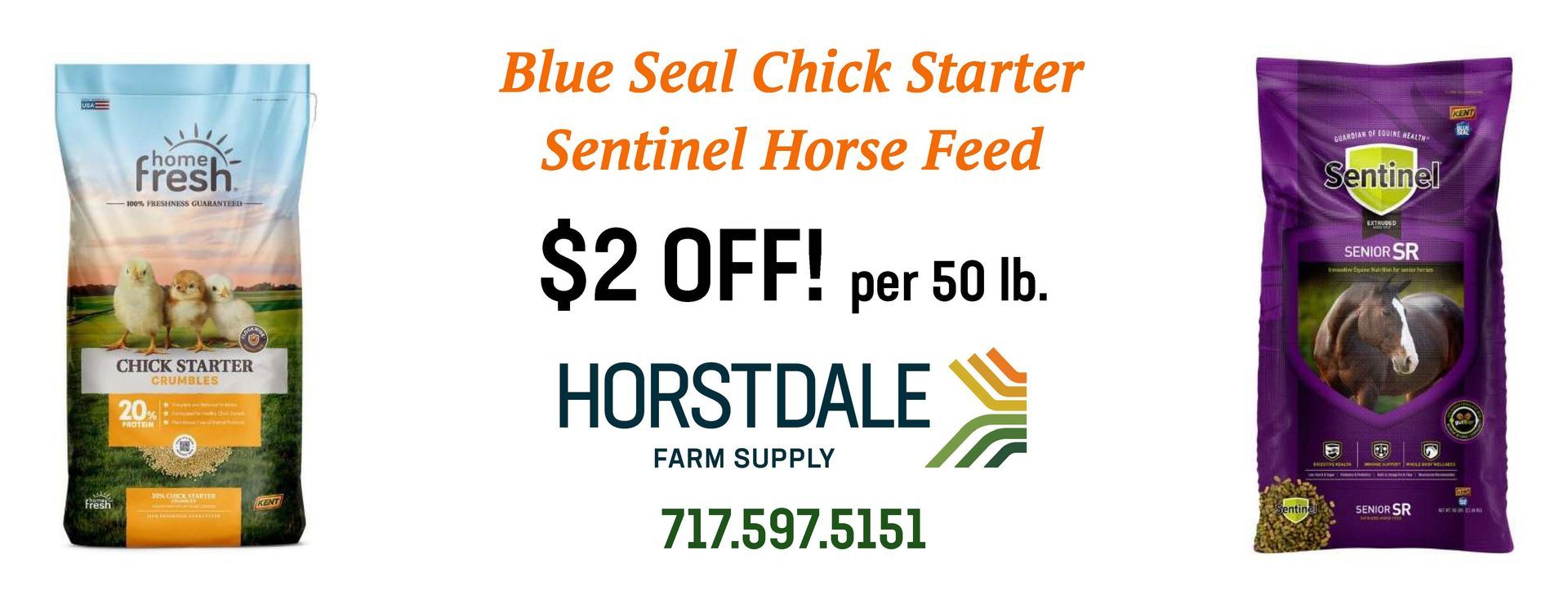 Advertisement for Horstdale Farm Supply offering $2 off 50lb bags of Blue Seal Chick Starter and Sentinel Horse Feed.