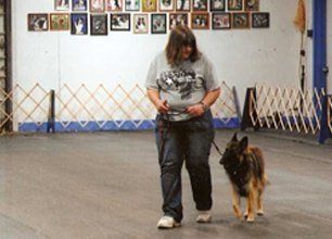 Pet training service