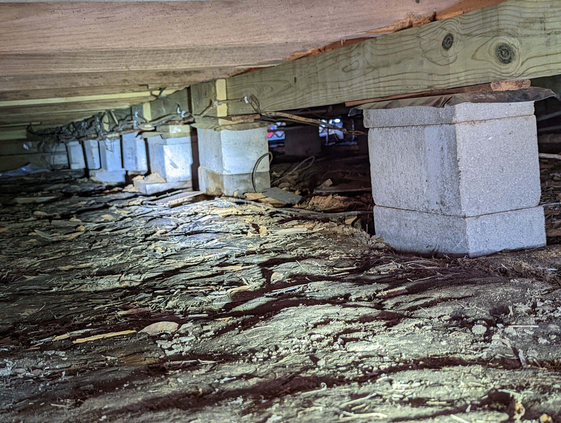 Ace House Leveling & Repair