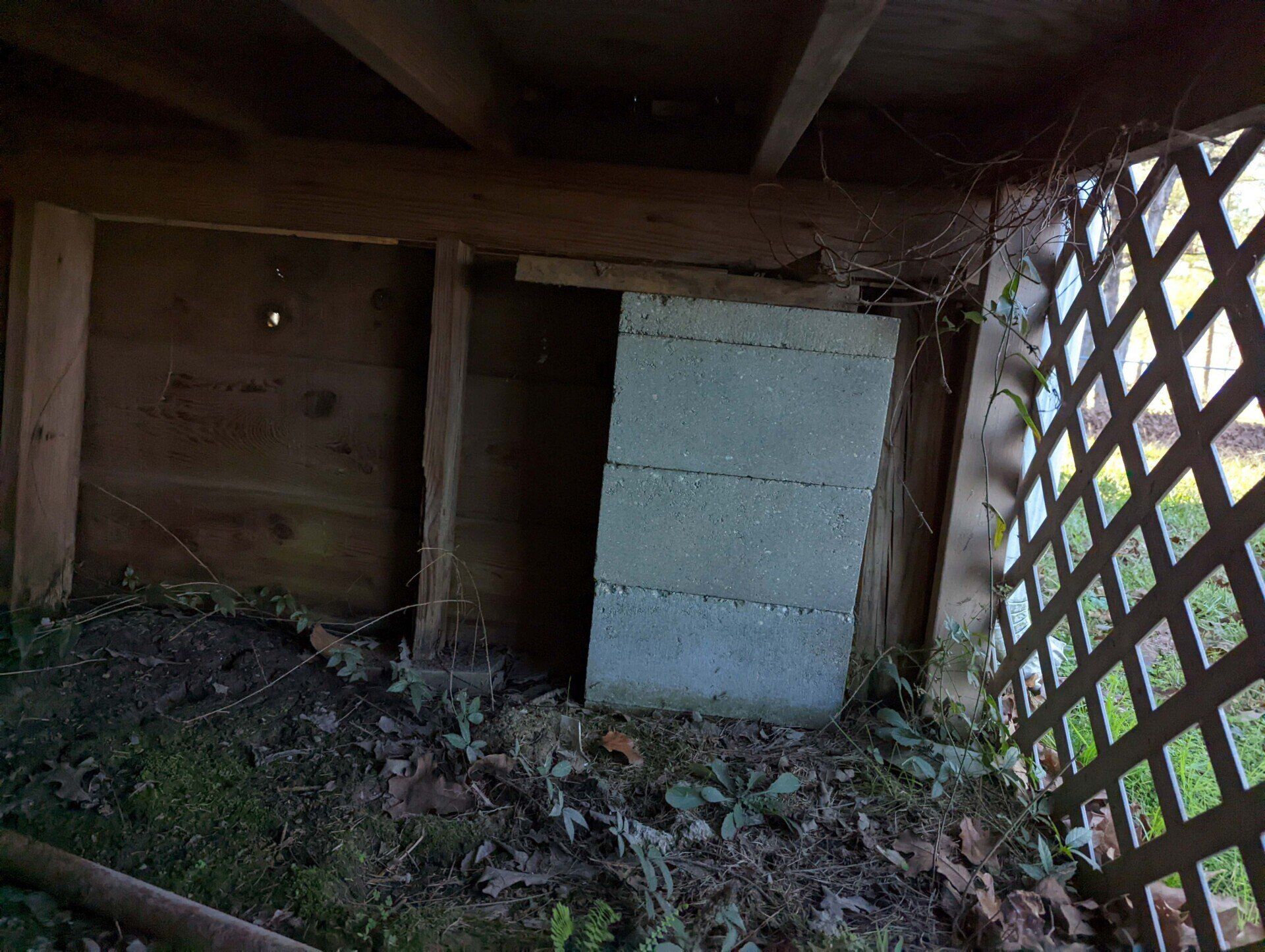 Ace House Leveling & Repair