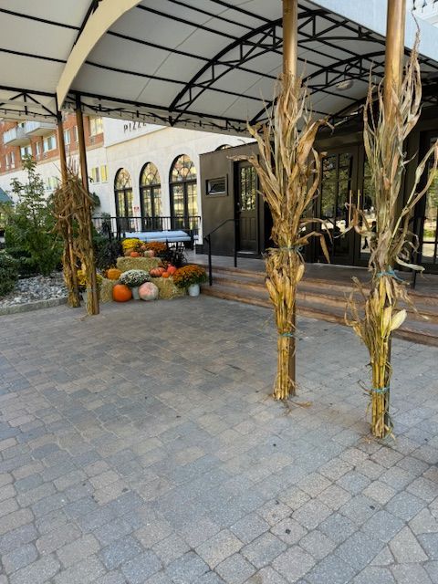 A patio with pumpkins and corn stalks in front of a building