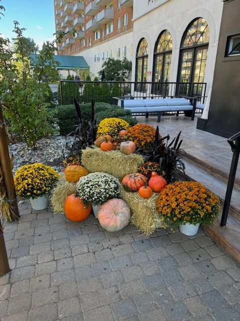 A bunch of pumpkins and flowers are sitting on a brick sidewalk in front of a building.