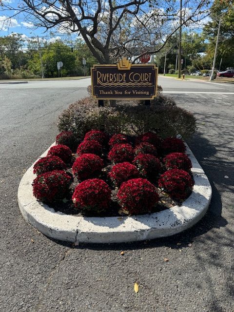 A sign that says florida court is surrounded by red flowers