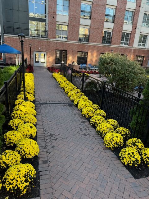 A brick walkway lined with yellow flowers leading to a building
