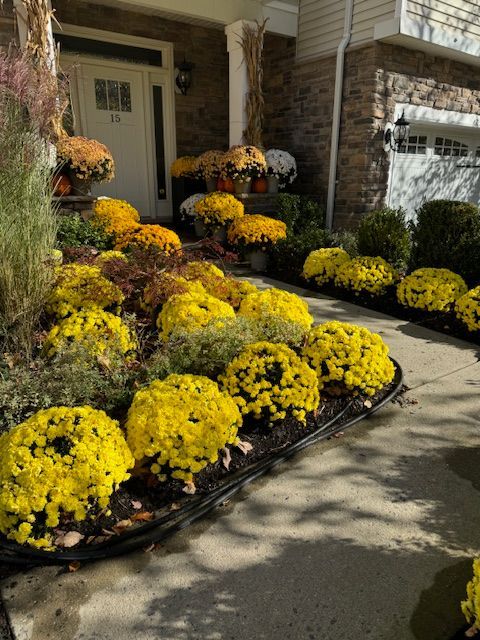 A row of yellow flowers in front of a house
