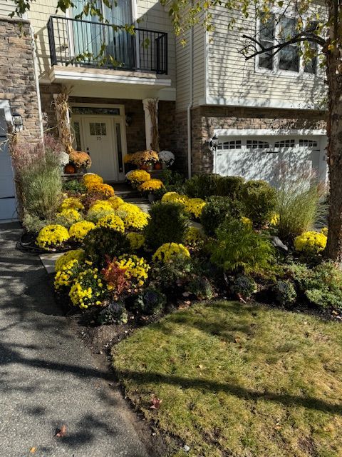 A house with a lot of yellow flowers in front of it