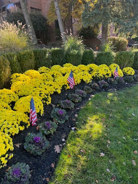 A garden filled with yellow flowers and american flags