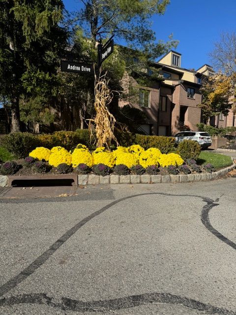 A sign on the side of the road says palm grove