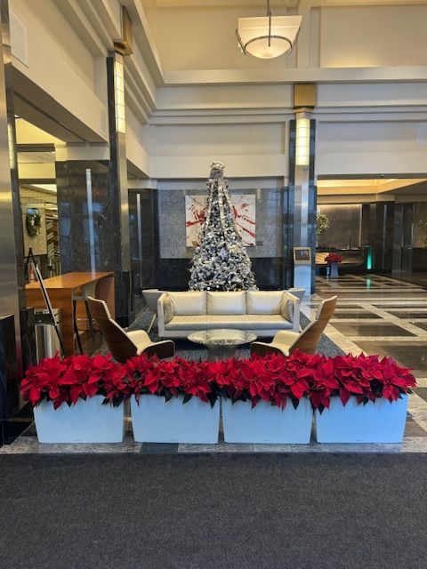 A lobby with a couch and a christmas tree