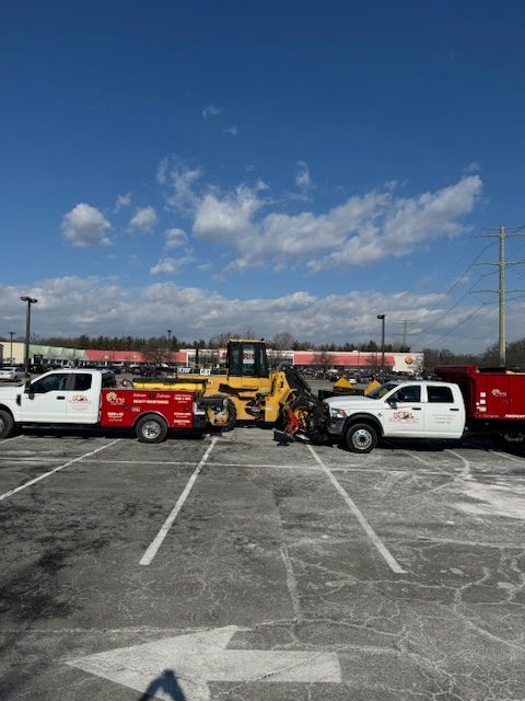 A row of trucks are parked in a parking lot