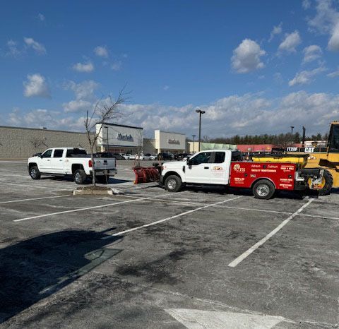 A lot of trucks are parked in a parking lot.